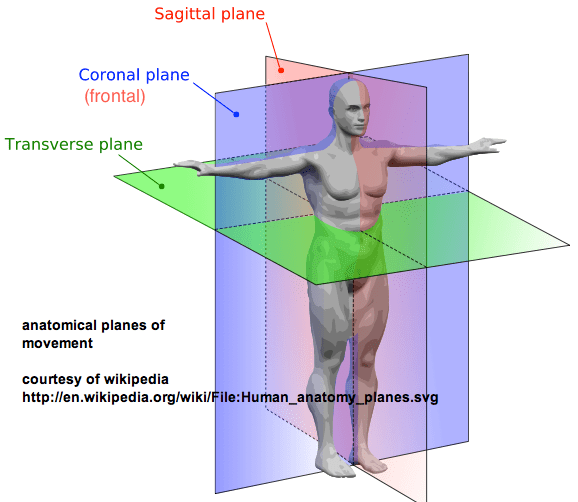 Anatomical planes chart